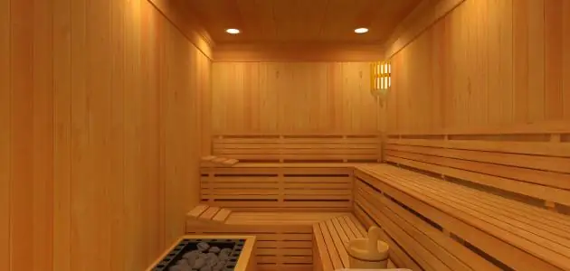 Family sauna with tiered benches